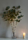 Ветвь эвкалипта имитация 62см 32LED тепл. бел. IP44 6ч таймер кабель корич. 50см КОСМОС KOC_INT-B131 - smartlife-ural.ru – Екатеринбург