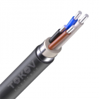 Кабель TOKOV ELECTRIC АВБШв 4х25 ОК (N) 0.66кВ (м) УТ000030757 - smartlife-ural.ru – Екатеринбург