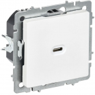 Розетка СП BRITE РЮ12-1-БрАБ USB C 65Вт высокоскор. заряд. арктич. бел. IEK BR-U13-065-K91 - smartlife-ural.ru – Екатеринбург