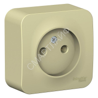 Розетка 1-м ОП Blanca 16А IP20 250В без заземл. без защ. шторок с изолир. пластиной беж. SE BLNRA000117 - smartlife-ural.ru – Екатеринбург
