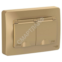 Розетка 2-м СП Blanca 16А IP44 250В с заземл. защ. шторки с крышкой титан SE BLNRS441124 - smartlife-ural.ru – Екатеринбург