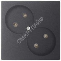Розетка 2-м СП Simon 24 16А IP20 2х2P без защ. шторок механизм графит Simon 2450457-038 - smartlife-ural.ru – Екатеринбург