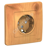 Розетка 1-м СП Blanca 16А IP20 250В с заземл. защ. шторки ясень SE BLNRS001115 - smartlife-ural.ru – Екатеринбург