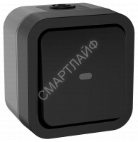 Переключатель 1-кл. ОП TORS 10А IP55 TS102 с индикацией графит IEK TS-V10-1-10-55-K53 - smartlife-ural.ru – Екатеринбург