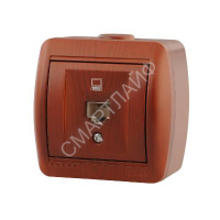 Розетка компьютерная 1-м ОП Nata RJ45 вишня LEZARD 710-0600-139 - smartlife-ural.ru – Екатеринбург