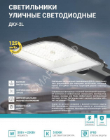 Светильник уличный линзованный светодиодный ДКУ-2L 50Вт 230В 5000К 6250лм 125лм/Вт 42-48мм IP65 NEOX 4690612057071 - smartlife-ural.ru – Екатеринбург