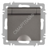 Розетка 1-м СП Accent 6-203-09 16А IP20 250В 2P+E Schuko с крышкой AL/CU титан Intro Б0063471 - smartlife-ural.ru – Екатеринбург