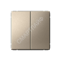 Выключатель 2-кл. ArtGallery 10AX быстрозажим. клем. механизм шампань SE GAL000551S - smartlife-ural.ru – Екатеринбург