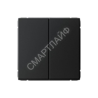 Переключатель 2-кл. ArtGallery 10AX быстрозажим. клем. механизм карбон SE GAL001065S - smartlife-ural.ru – Екатеринбург