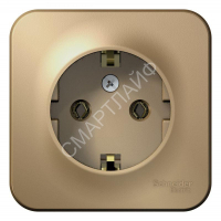 Розетка 1-м ОП Blanca 16А IP20 250В с заземл. без защ. шторок с изолир. пластиной титан SE BLNRA010114 - smartlife-ural.ru – Екатеринбург