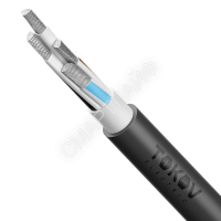 Кабель TOKOV ELECTRIC АВВГнг(А)-LS 4х95 МС (N) 1кВ (м) УТ000030793 - smartlife-ural.ru – Екатеринбург