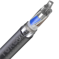 Кабель TOKOV ELECTRIC АВБШвнг(А) 4х70 ОС (N) 1кВ (м) УТ000030810 - smartlife-ural.ru – Екатеринбург