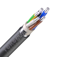 Кабель TOKOV ELECTRIC АВВГнг(А)-LS 5х4 ОК (N PE) 0.66кВ (м) 00-00036625 - smartlife-ural.ru – Екатеринбург