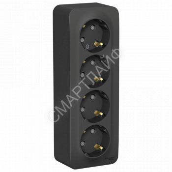 Розетка 4-м ОП Blanca 16А IP20 250В с заземл. защ. шторки с изолир. пластиной антрацит SE BLNRA011416 - smartlife-ural.ru – Екатеринбург