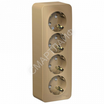 Розетка 4-м ОП Blanca 16А IP20 250В с заземл. защ. шторки с изолир. пластиной титан SE BLNRA011414 - smartlife-ural.ru – Екатеринбург