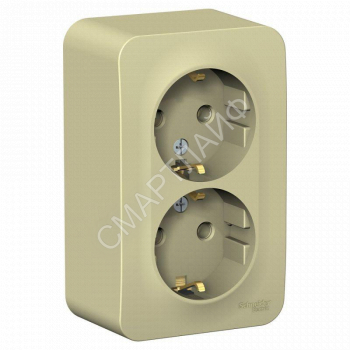 Розетка 2-м ОП Blanca 16А IP20 250В с заземл. без защ. шторок с изолир. пластиной беж. SE BLNRA010217 - smartlife-ural.ru – Екатеринбург