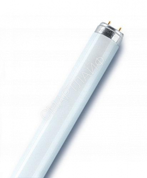 Лампа люминесцентная L 18W/840 LUMILUX 18Вт T8 4000К G13 смол. OSRAM 4058075693074 - smartlife-ural.ru – Екатеринбург