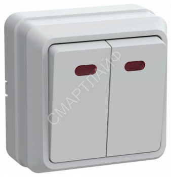 Выключатель 2-кл. ОП Октава 10А IP20 ВС20-2-1-ОБ с индикацией бел. GENERICA EVO21-K01-10-DC - smartlife-ural.ru – Екатеринбург