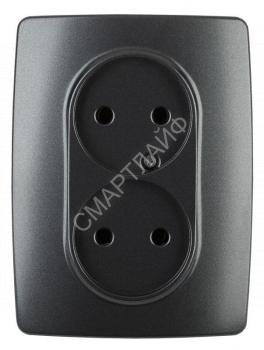 Розетка 2-м СП Эра12 12-2107-05 16А IP20 16AX 250В 2х2P антрацит Эра Б0031242 - smartlife-ural.ru – Екатеринбург