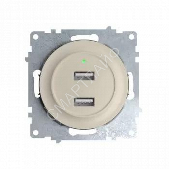Розетка USB 2-м СП Florence 16А IP20 с подсветкой механизм беж. (1E10351301) OneKeyElectro 2260090 - smartlife-ural.ru – Екатеринбург