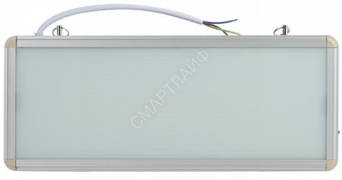 Светильник светодиодный SSA-101-0-20 3ч 3Вт без текста аварийный ЭРА Б0044387 - smartlife-ural.ru – Екатеринбург