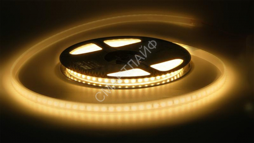 Лента светодиодная PLS PRO 2835/120-24В 6000К IP65 (уп.5м) Pro JazzWay 5037526 - smartlife-ural.ru – Екатеринбург