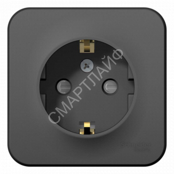 Розетка 1-м ОП Blanca 16А IP20 250В с заземл. защ. шторки с изолир. пластиной антрацит SE BLNRA011116 - smartlife-ural.ru – Екатеринбург