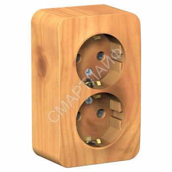 Розетка 2-м ОП Blanca 16А IP20 250В с заземл. без защ. шторок с изолир. пластиной ясень SE BLNRA010215 - smartlife-ural.ru – Екатеринбург