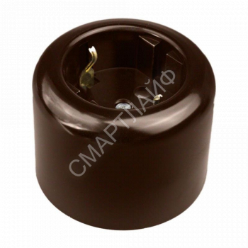 Розетка двухполюсная с ЗК R пластик корич. Bironi R1-101-22 - smartlife-ural.ru – Екатеринбург