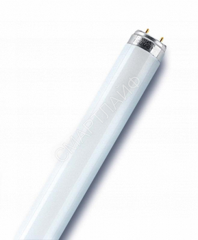 Лампа люминесцентная L 18W/640 18Вт T8 4000К G13 смол. OSRAM 4008321959652 - smartlife-ural.ru – Екатеринбург
