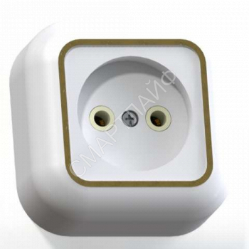 Розетка 1-м ОП Валентина РА10-266 10А IP20 бел./зол. Кунцево 7639 - smartlife-ural.ru – Екатеринбург