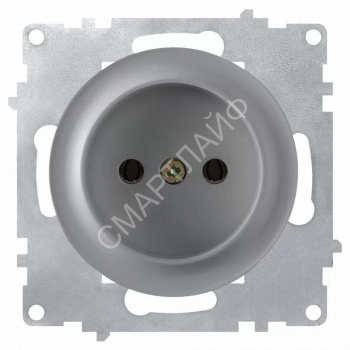 Розетка 1-м СП Florence 16А IP20 без заземл. винтов. клеммы механизм сер. (1E10301302) OneKeyElectro 2172835 - smartlife-ural.ru – Екатеринбург