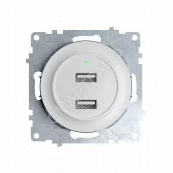 Розетка USB 2-м СП Florence 16А IP20 с подсветкой механизм бел. (1E10351300) OneKeyElectro 2260089 - smartlife-ural.ru – Екатеринбург