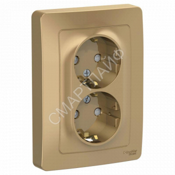 Розетка 2-м СП Blanca 16А IP20 250В с заземл. защ. шторки титан SE BLNRS001124 - smartlife-ural.ru – Екатеринбург