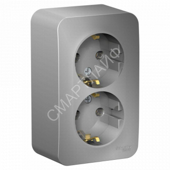 Розетка 2-м ОП Blanca 16А IP20 250В с заземл. без защ. шторок с изолир. пластиной алюм. SE BLNRA010213 - smartlife-ural.ru – Екатеринбург