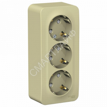 Розетка 3-м ОП Blanca 16А IP20 250В с заземл. защ. шторки с изолир. пластиной беж. SE BLNRA011317 - smartlife-ural.ru – Екатеринбург