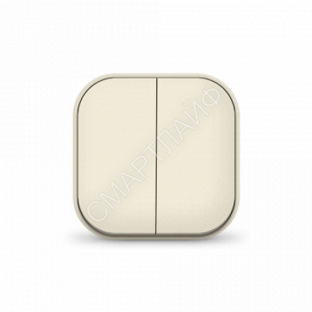 Выключатель 2-кл. 1п ОП 10А IP20 сл. кость IONICH 1425 - smartlife-ural.ru – Екатеринбург