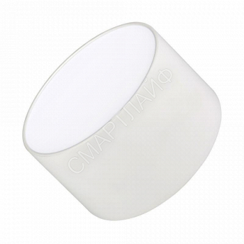 Светильник светодиодный SP-RONDO-120A-12W Day White IP40 метал. Arlight 022224 - smartlife-ural.ru – Екатеринбург