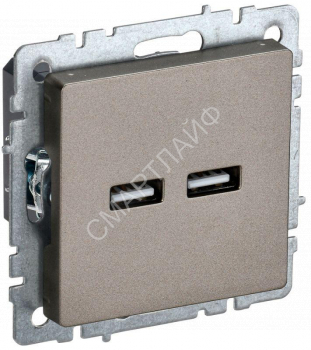 Розетка BRITE USB A+A 3.1А РЮ10-1-БрШ механизм шампань IEK BR-U21-D31-K37 - smartlife-ural.ru – Екатеринбург