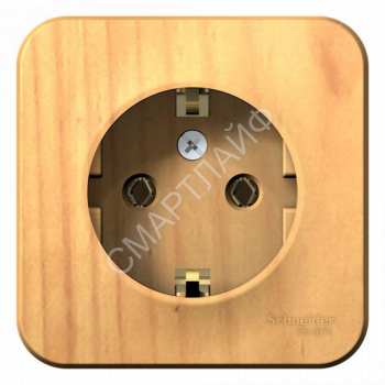 Розетка 1-м ОП Blanca 16А IP20 250В с заземл. без защ. шторок с изолир. пластиной ясень SE BLNRA010115 - smartlife-ural.ru – Екатеринбург