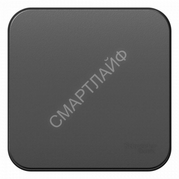 Переключатель проходной 1-кл. ОП Blanca 10А IP20 (сх. 6) 250В с изолир. пластиной антрацит SE BLNVA106016 - smartlife-ural.ru – Екатеринбург