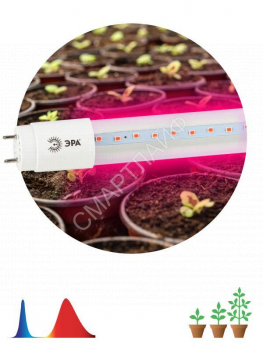 Лампа светодиодная FITO-9W-RB-Т8-G13-NL 9Вт T8 линейная 48LED 2835 IP20 35000ч для растений красн./син. спектр стекло Эра Б0042986 - smartlife-ural.ru – Екатеринбург