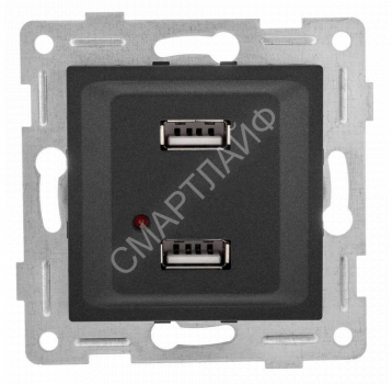 Розетка USB 2-м СП Ugra механизм графит GUSI С11USB2-010 - smartlife-ural.ru – Екатеринбург