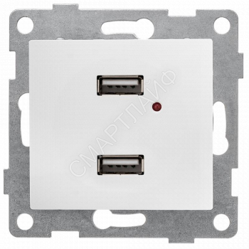 Розетка USB 2-м СП Bravo механизм бел. GUSI С10USB2-001 - smartlife-ural.ru – Екатеринбург
