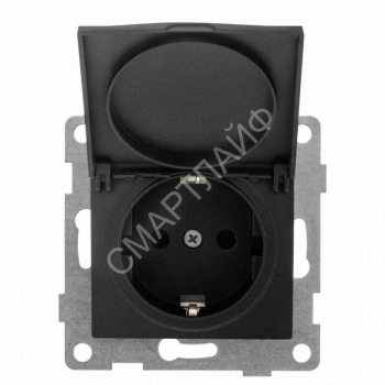 Розетка 1-м СП Bravo 16А 250В с заземл. защ. шторки с крышкой механизм графит GUSI С10Р91-010 - smartlife-ural.ru – Екатеринбург