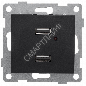 Розетка USB 2-м СП Bravo механизм графит GUSI С10USB2-010 - smartlife-ural.ru – Екатеринбург