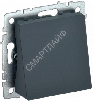 Вывод кабеля BRITE МВ10-БрГ механизм графит IEK BR-VK10-0-K53 - smartlife-ural.ru – Екатеринбург