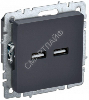 Розетка BRITE USB A+A 3.1А РЮ10-1-БрГ механизм графит IEK BR-U21-D31-K53 - smartlife-ural.ru – Екатеринбург