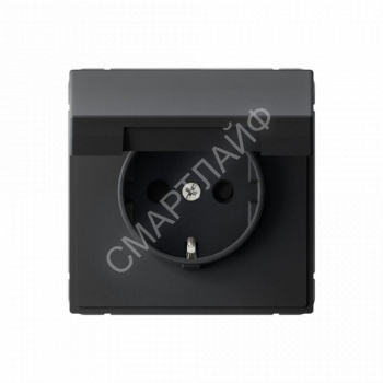 Розетка ArtGallery 16А IP20 с заземл. защ. шторки с крышкой механизм карбон SE GAL001046 - smartlife-ural.ru – Екатеринбург