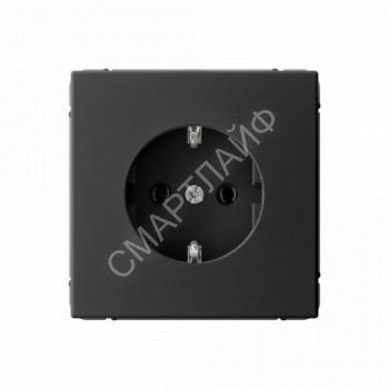 Розетка ArtGallery 16А с заземл. механизм карбон SE GAL001043 - smartlife-ural.ru – Екатеринбург